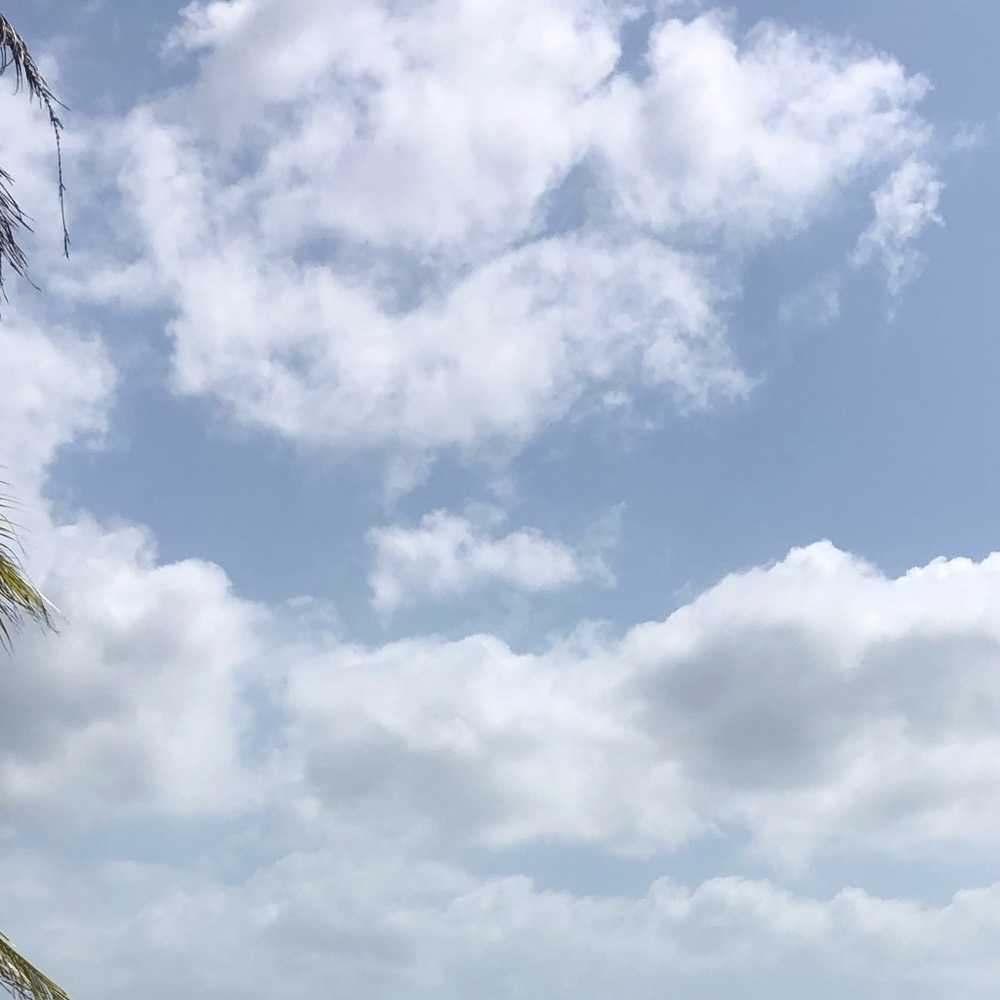 Meet your Posher, Art